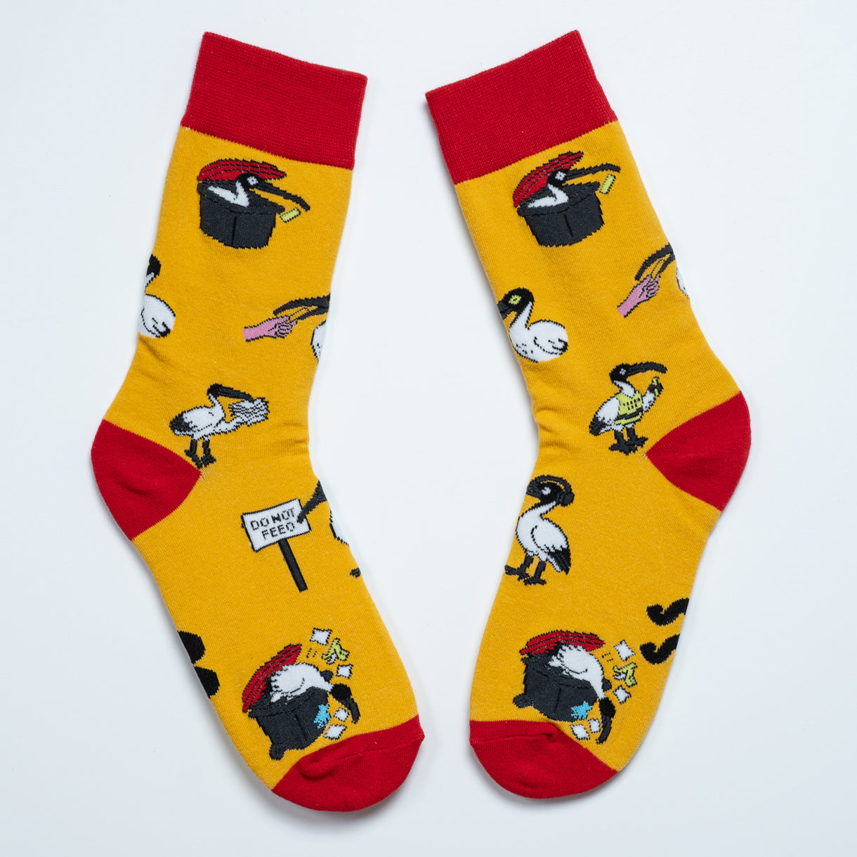 Yellow Australian ibis crew socks laid diagonally with red cuffs, heels and toes
