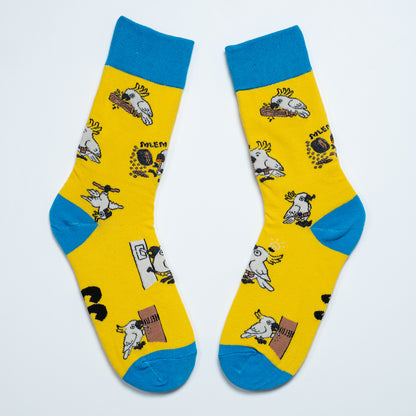 Pair of yellow cockatoo socks laid diagonally with blue cuffs, heels and toes
